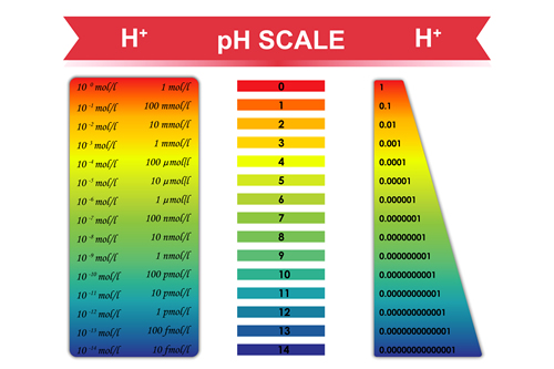 What’s Your pH? Acid Diet vs. Alkaline Diet